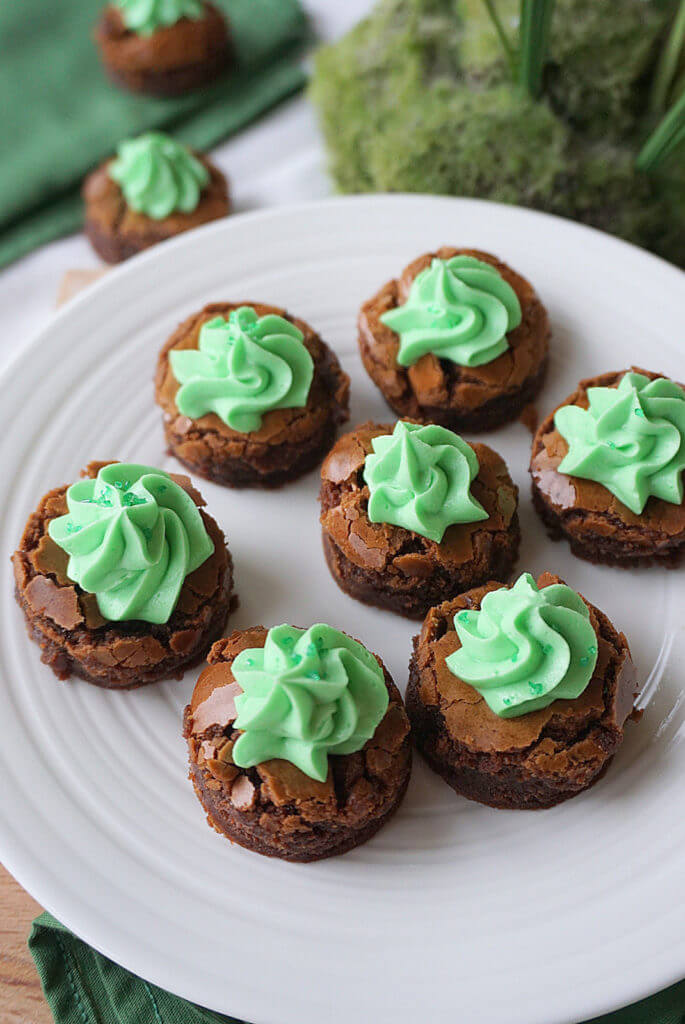Two Bite Chocolate Mint Brownies 