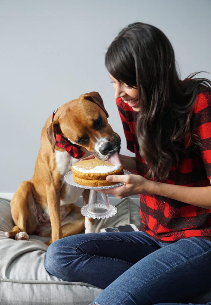 Homemade dog cake & a bow tie collar giveaway